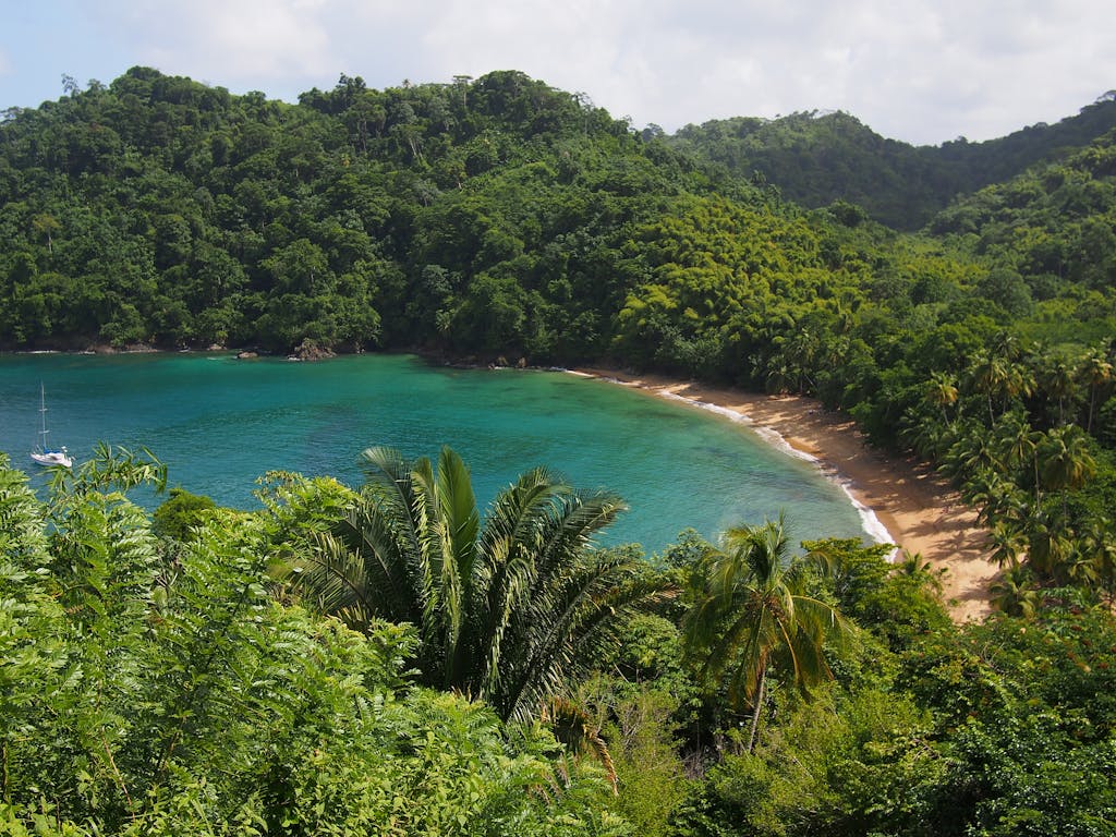 A picturesque tropical bay with lush greenery and turquoise waters in Trinidad and Tobago.