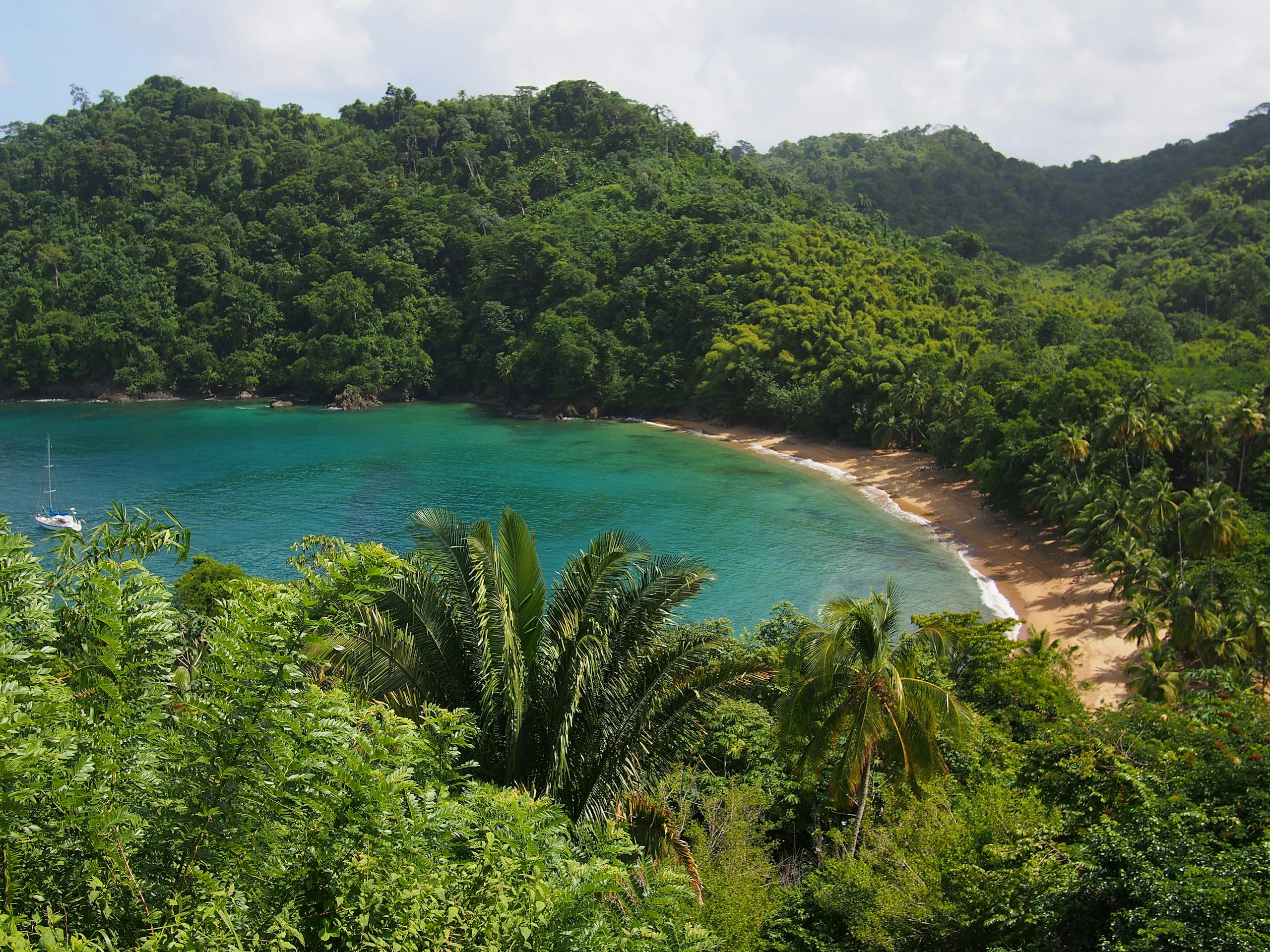 A picturesque tropical bay with lush greenery and turquoise waters in Trinidad and Tobago.
