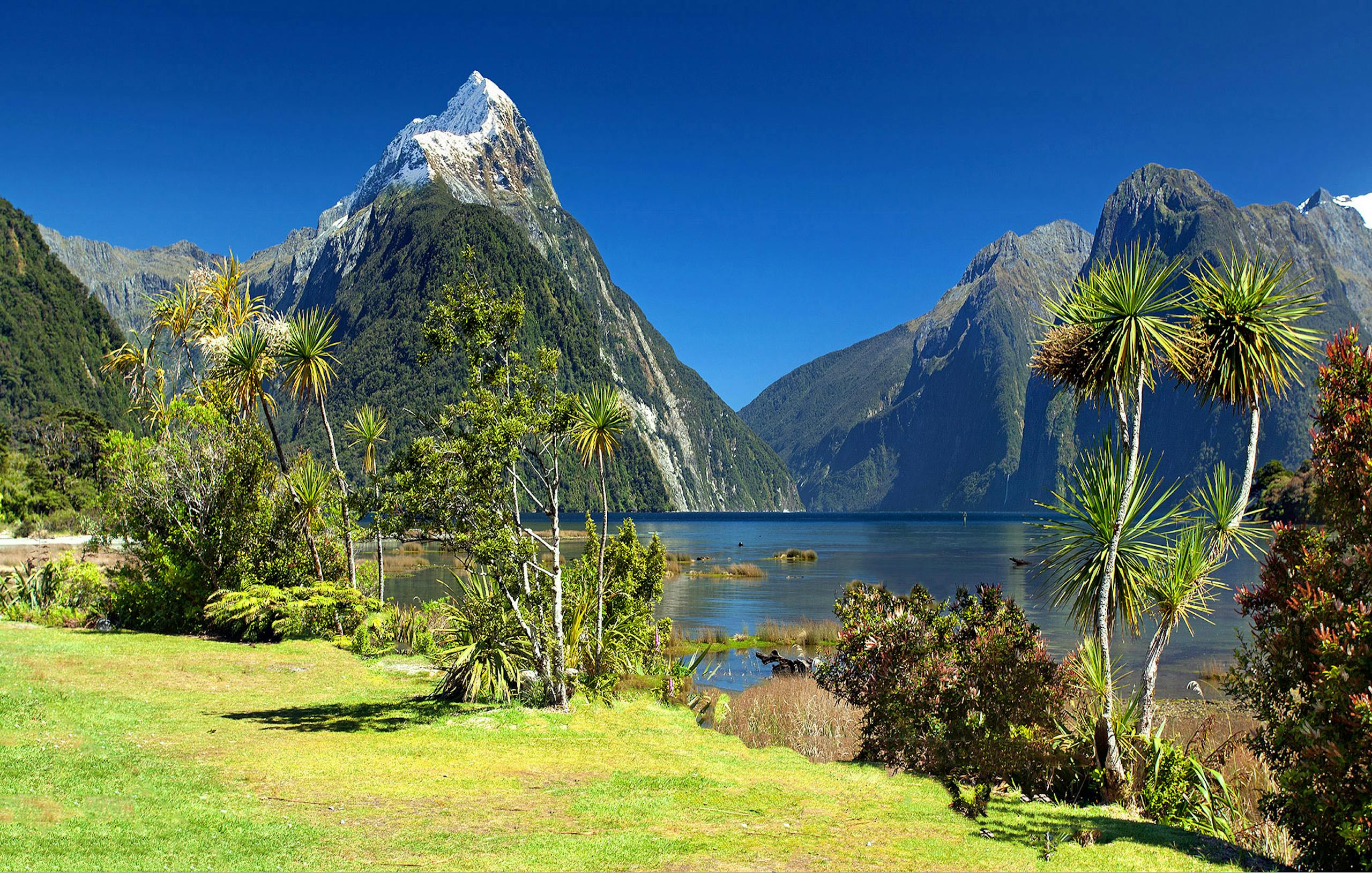 Breathtaking view of Milford Sound with Mitre Peak, lush greenery, and clear blue skies.