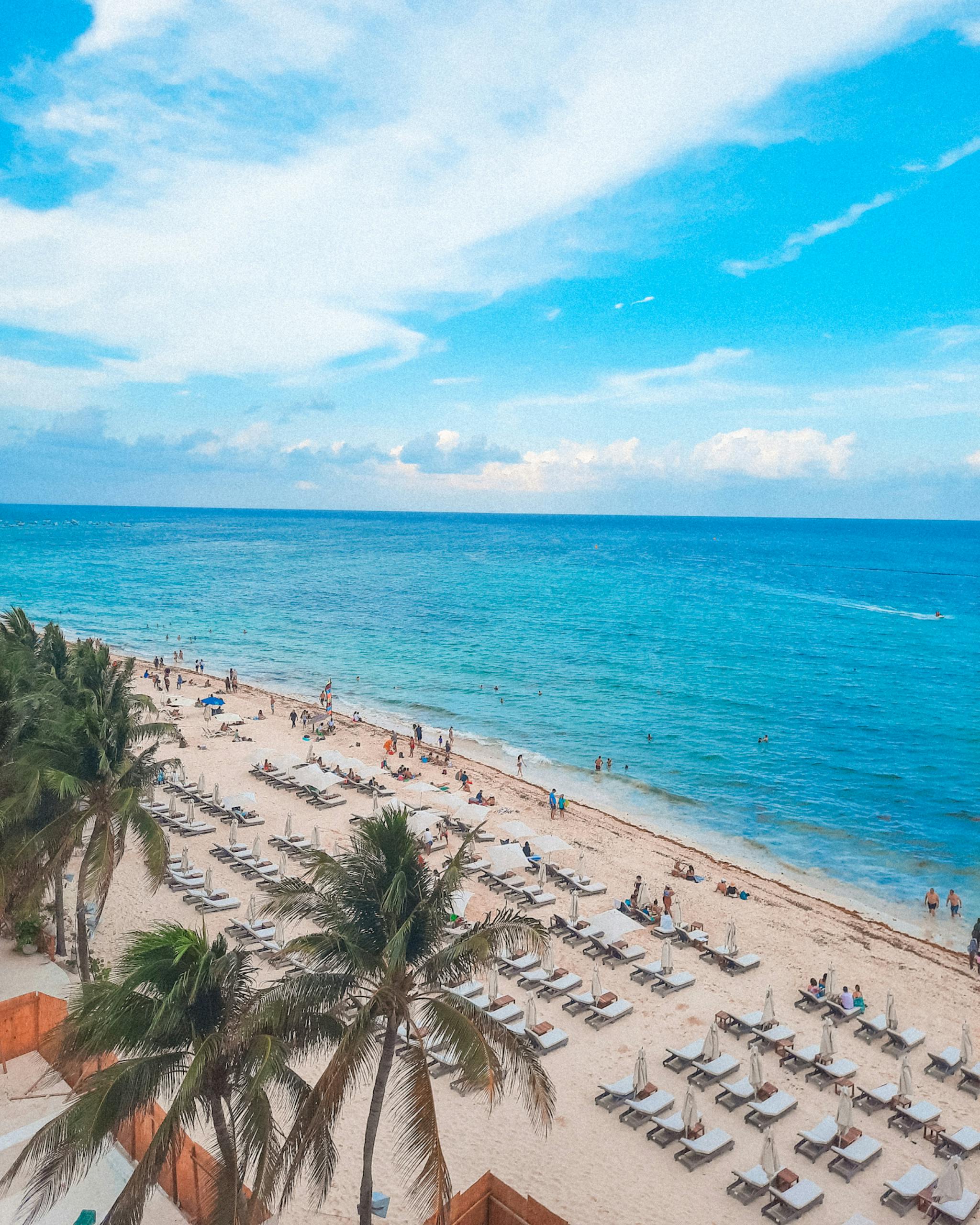 Explore the tranquil beauty of Cancun's pristine beach with palm trees and azure waters.