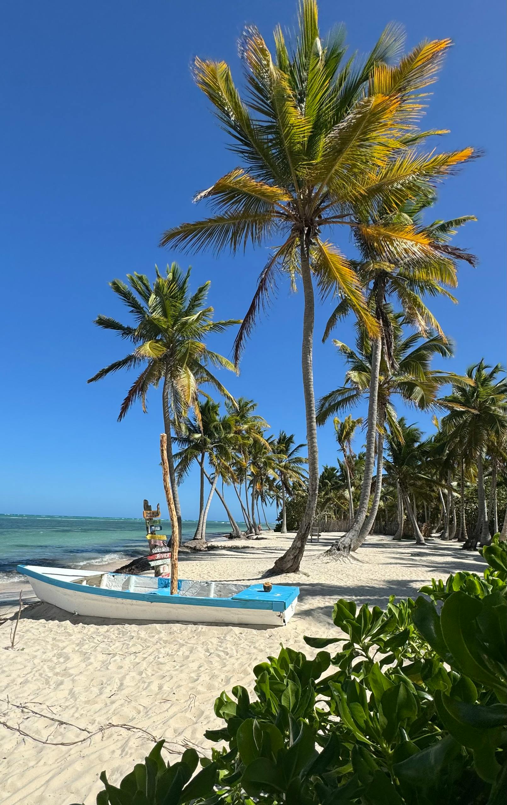 Serene tropical beach scene with palm trees and a boat under a clear blue sky.