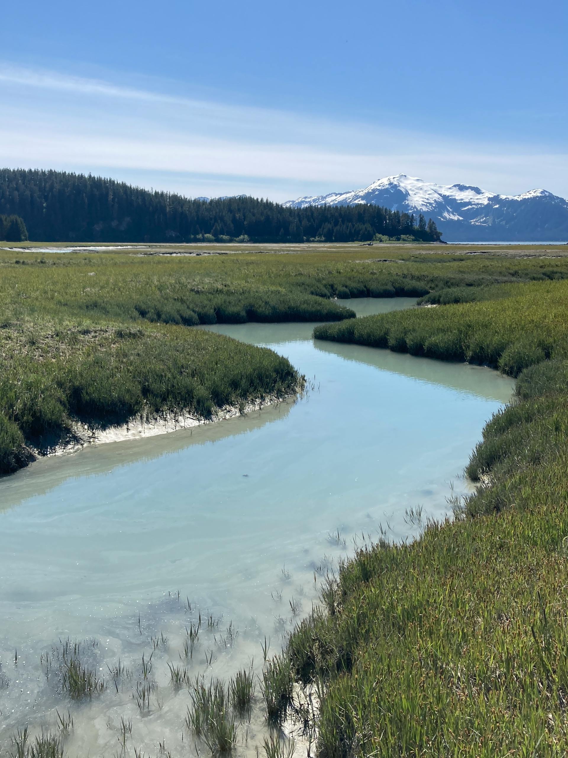 Stunning Alaskan landscape featuring a clear stream, lush green fields, and a snow-capped mountain under blue skies.