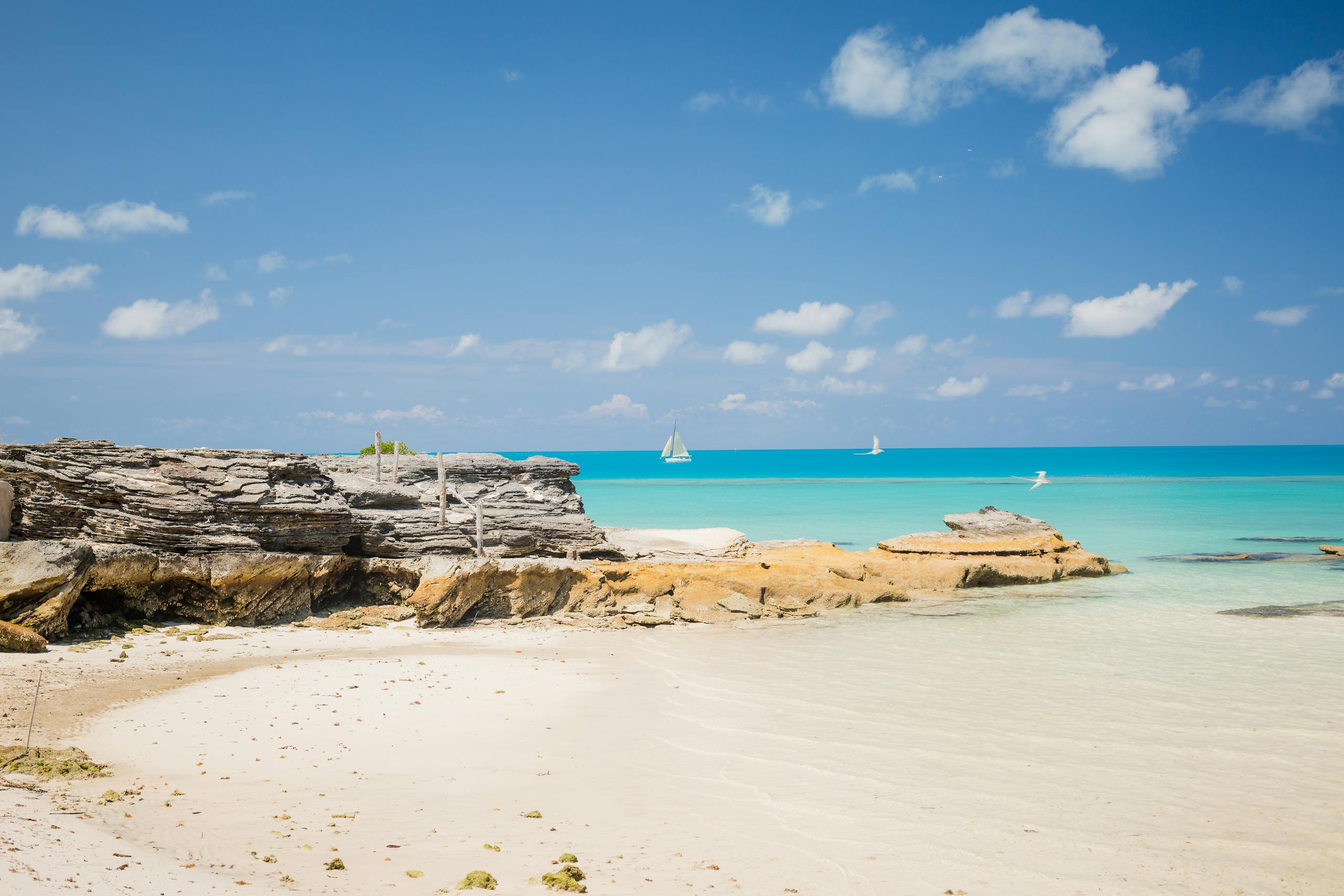 A serene coastal view with tranquil turquoise waters and rugged rocks under a clear blue sky.
