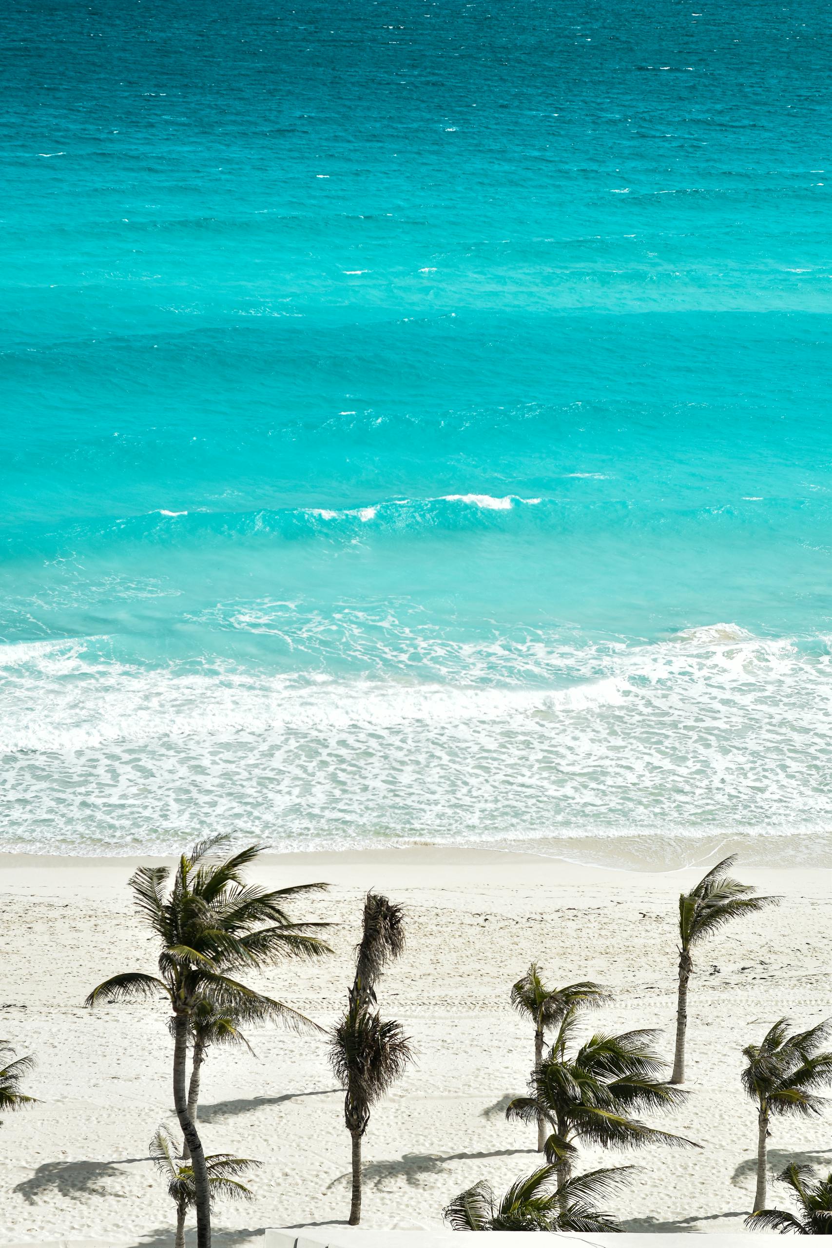A serene tropical beach with coconut trees and turquoise ocean in Cancún, Mexico.