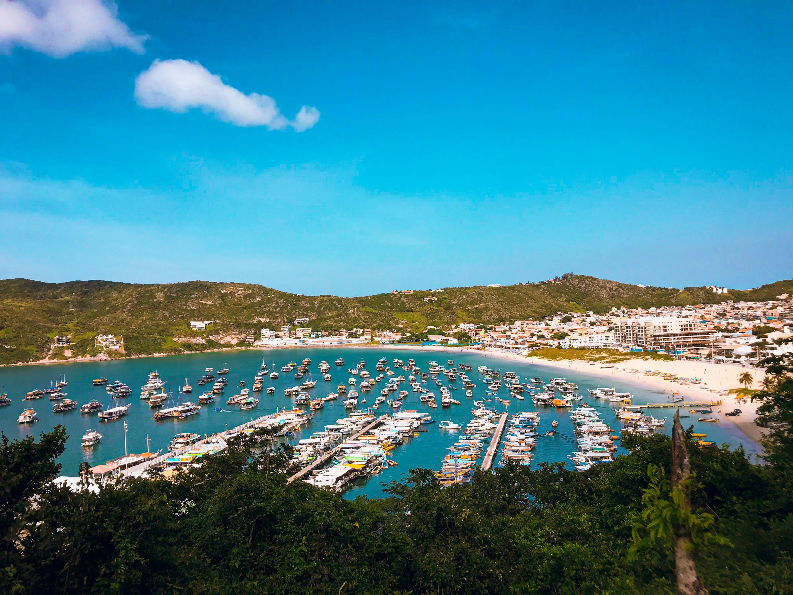 A vibrant marina with boats docked along the coastline and hills in the background under a clear blue sky.