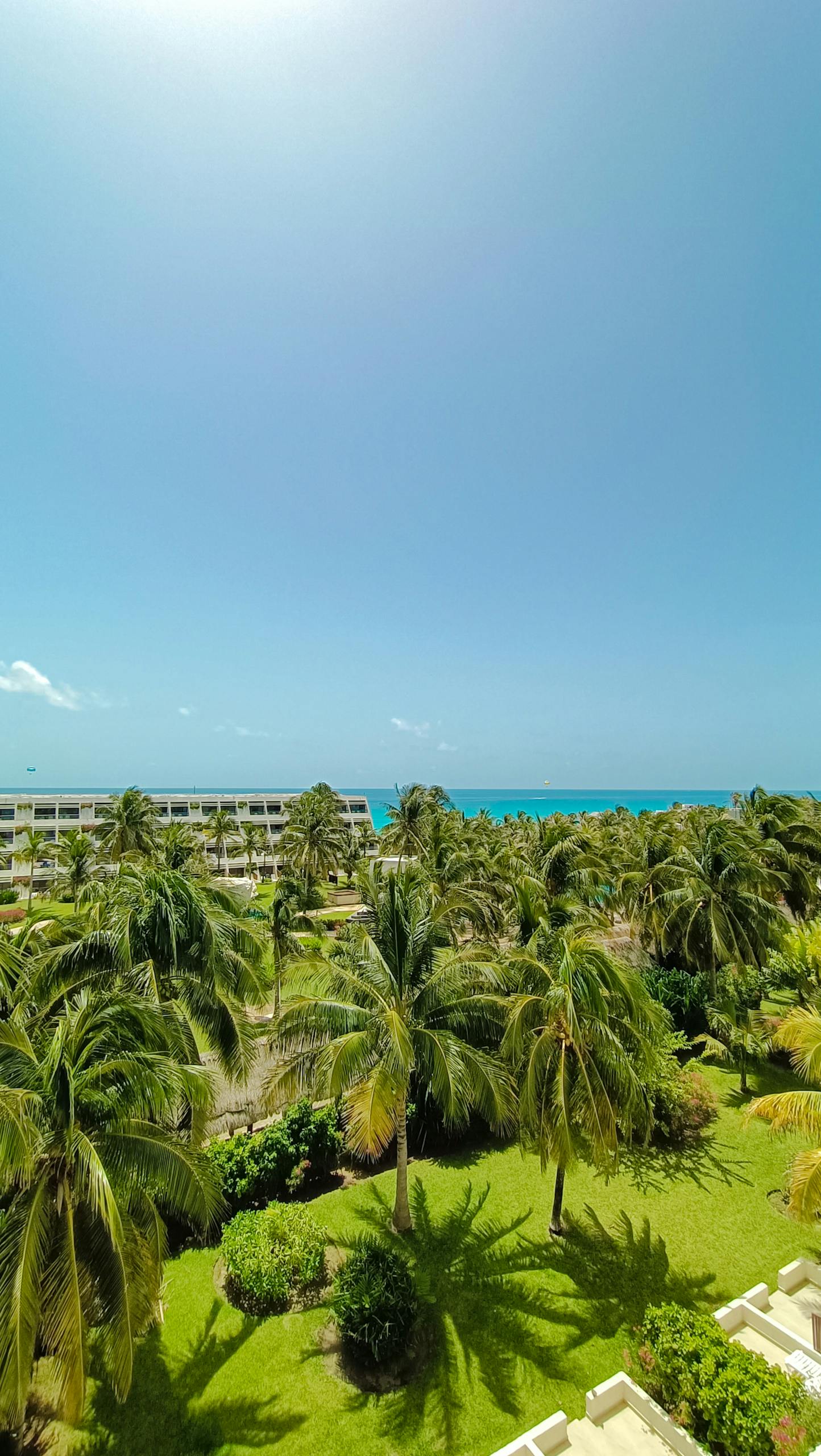 Aerial view of a tropical resort with lush palm trees and blue skies in Cancún, Mexico.