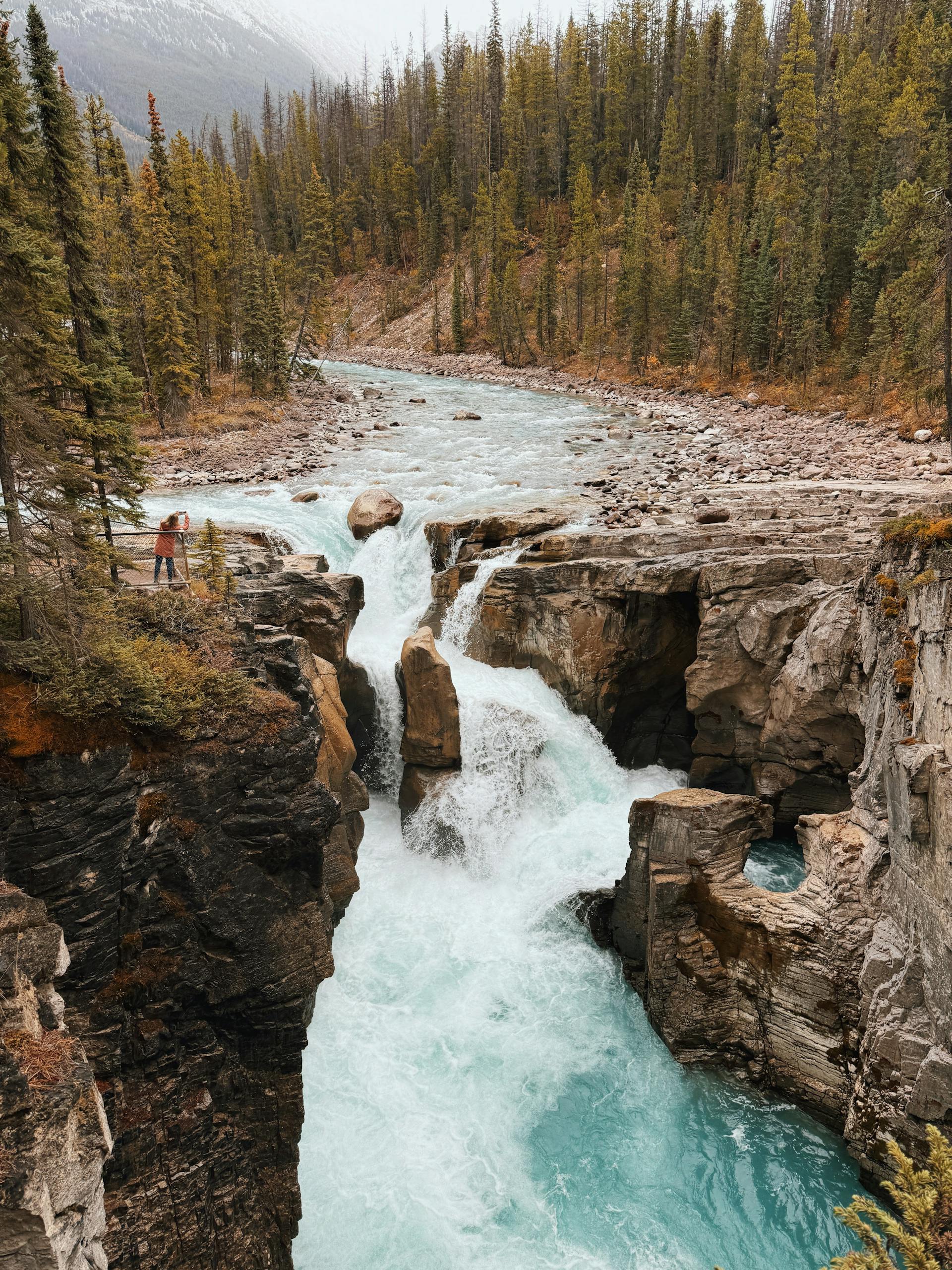 Explore the stunning waterfall and surrounding landscapes in Jasper National Park, Canada.