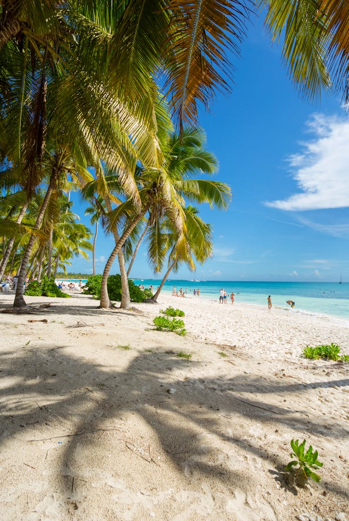 Idyllic tropical beach with palm trees and clear blue sky in Punta Cana, Dominican Republic.
