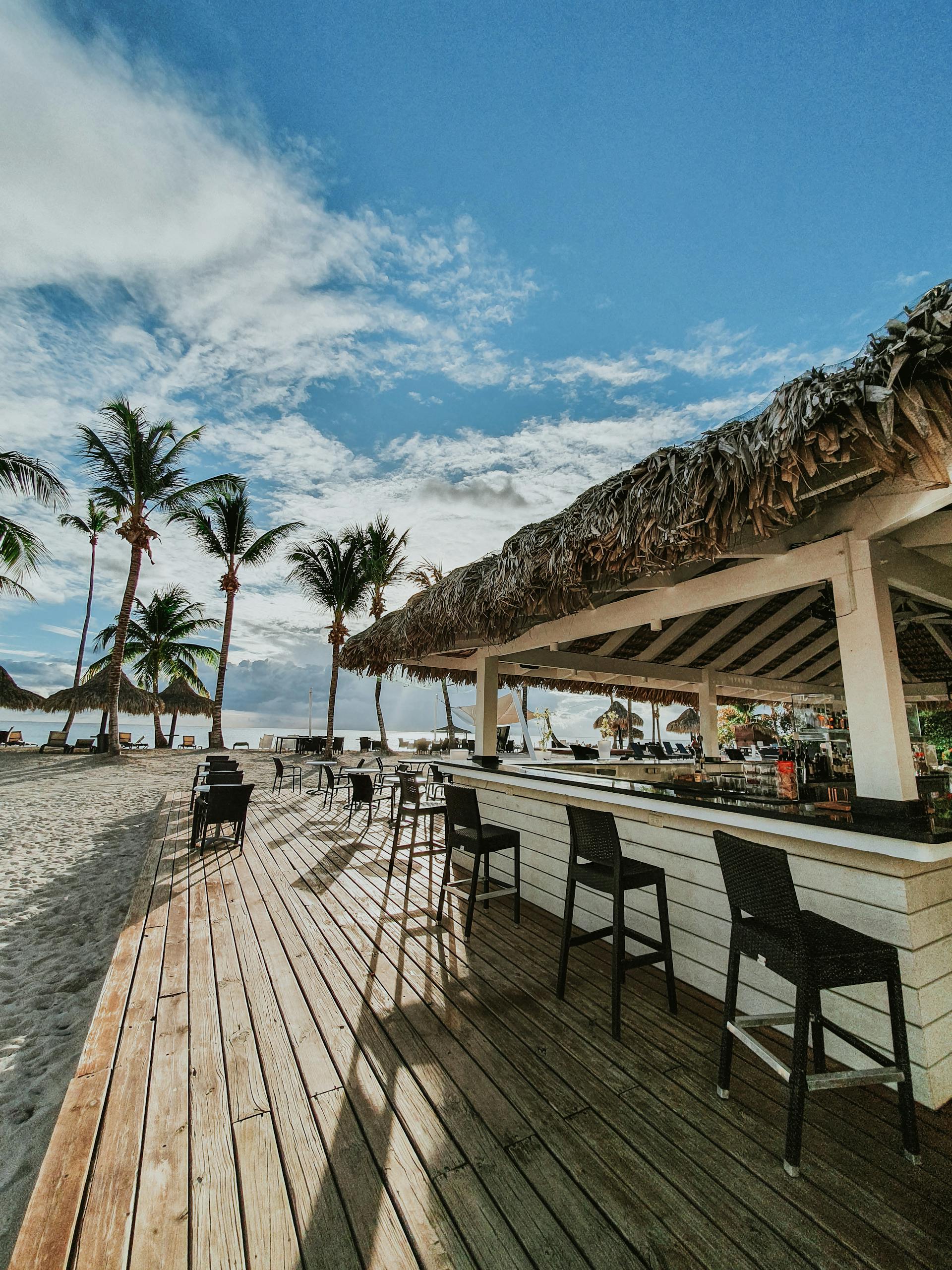 Palm-lined beach with a thatched-roof bar offers a serene tropical escape in the Dominican Republic.