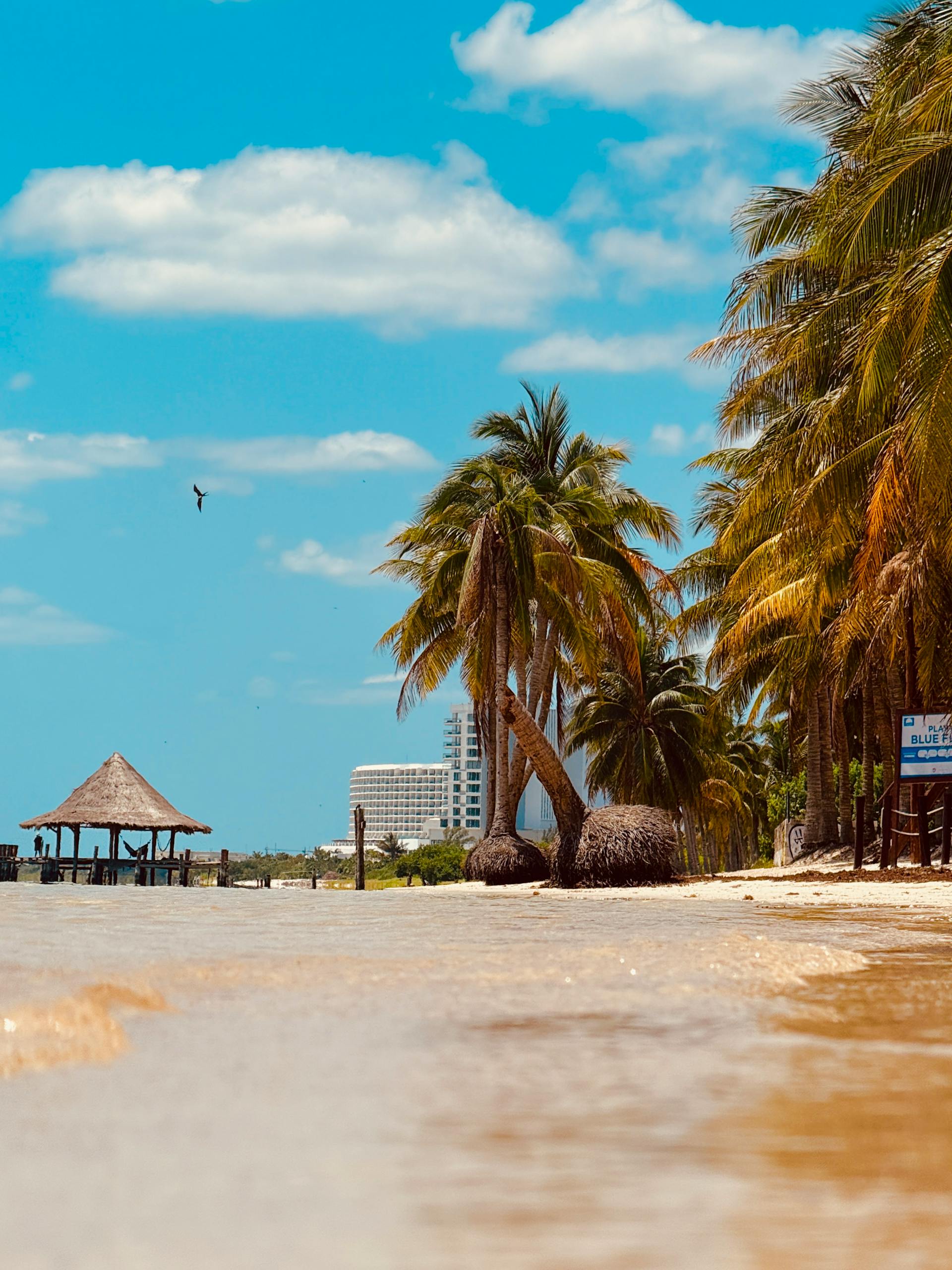Relaxing beach scene in Cancun with palm trees and resort buildings under a sunny sky.