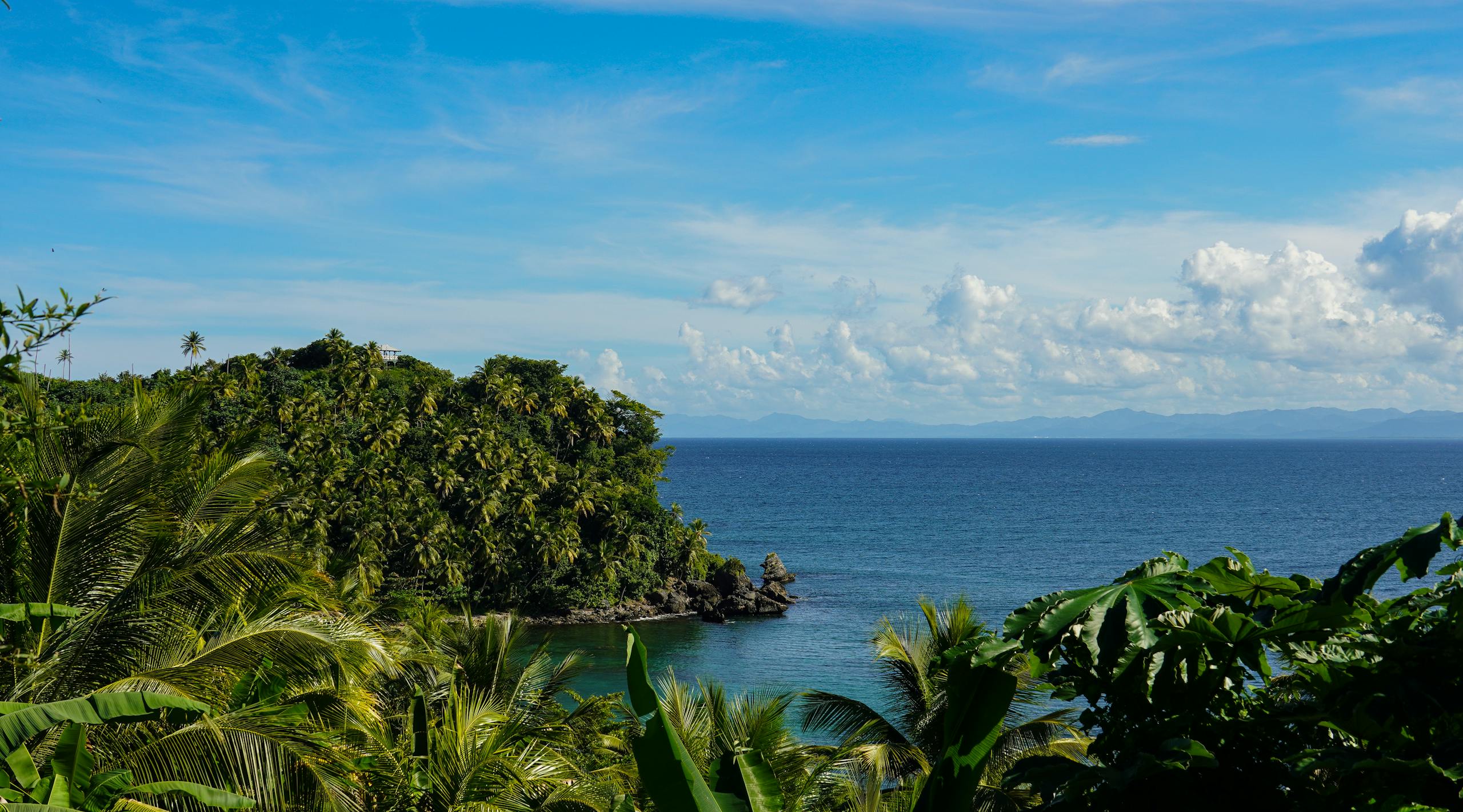 Scenic view of a tropical coastline with lush greenery and expansive ocean under a bright blue sky.