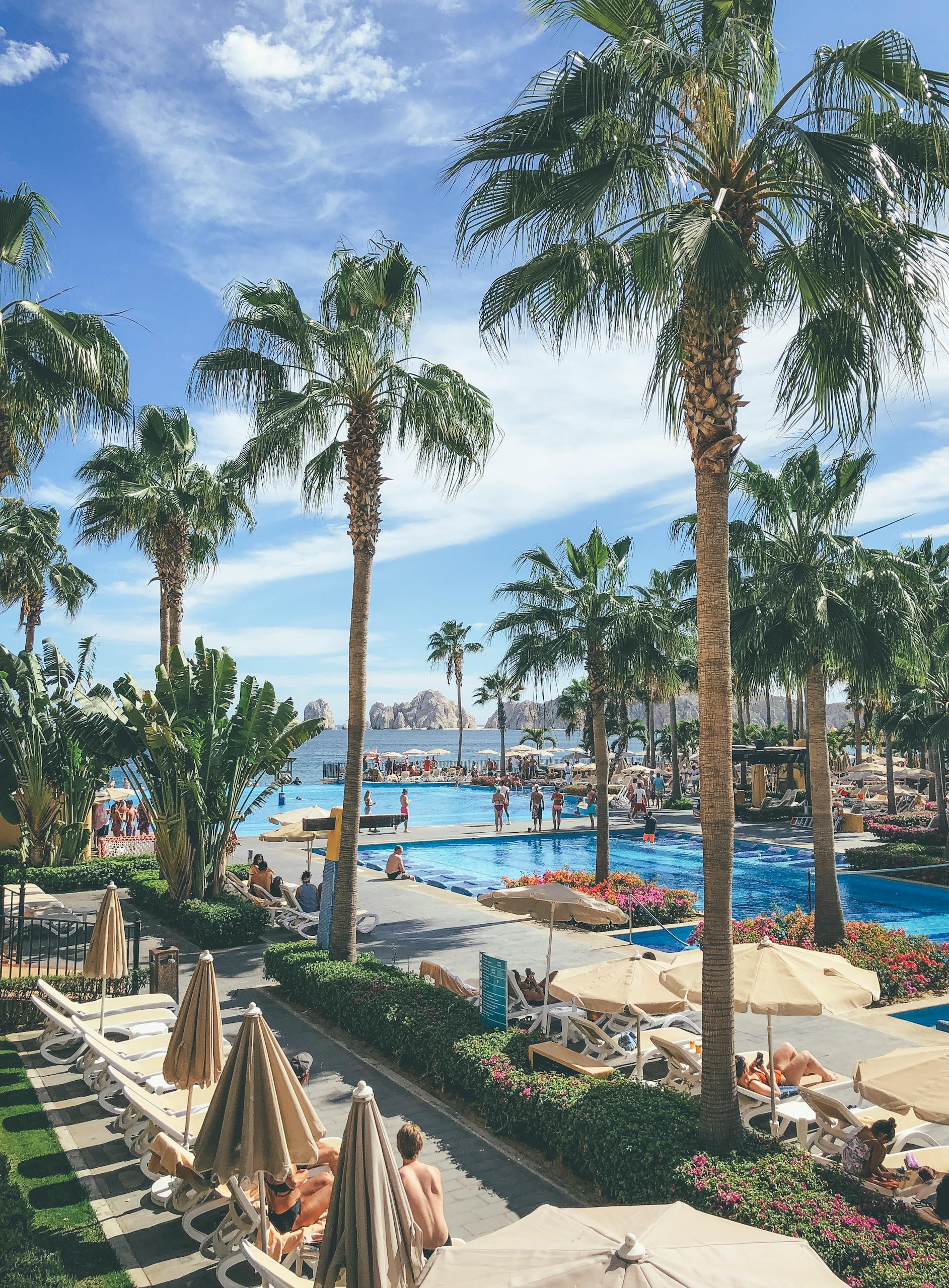 Tropical resort scene with palm trees, a vibrant pool, and lounging guests in Cabo San Lucas, Mexico.